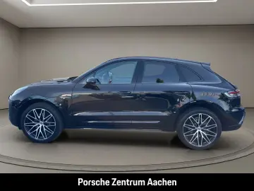 Macan 