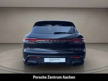Macan 