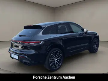 Macan 