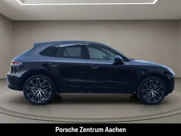 Macan 