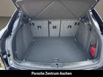 Macan 