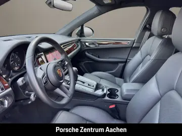 Macan 