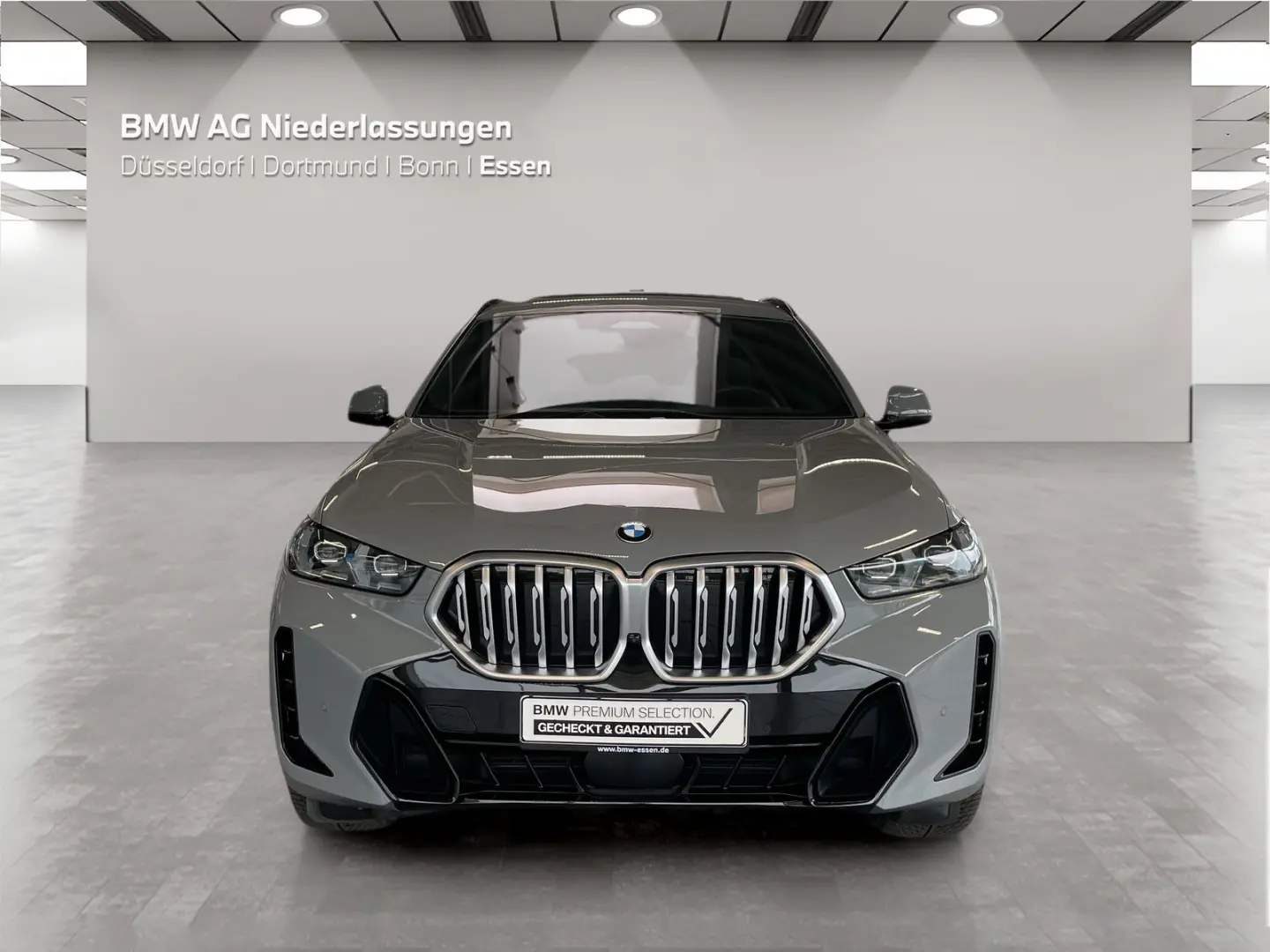 X6 xDrive30d M Sport Standheizung Massage AHK