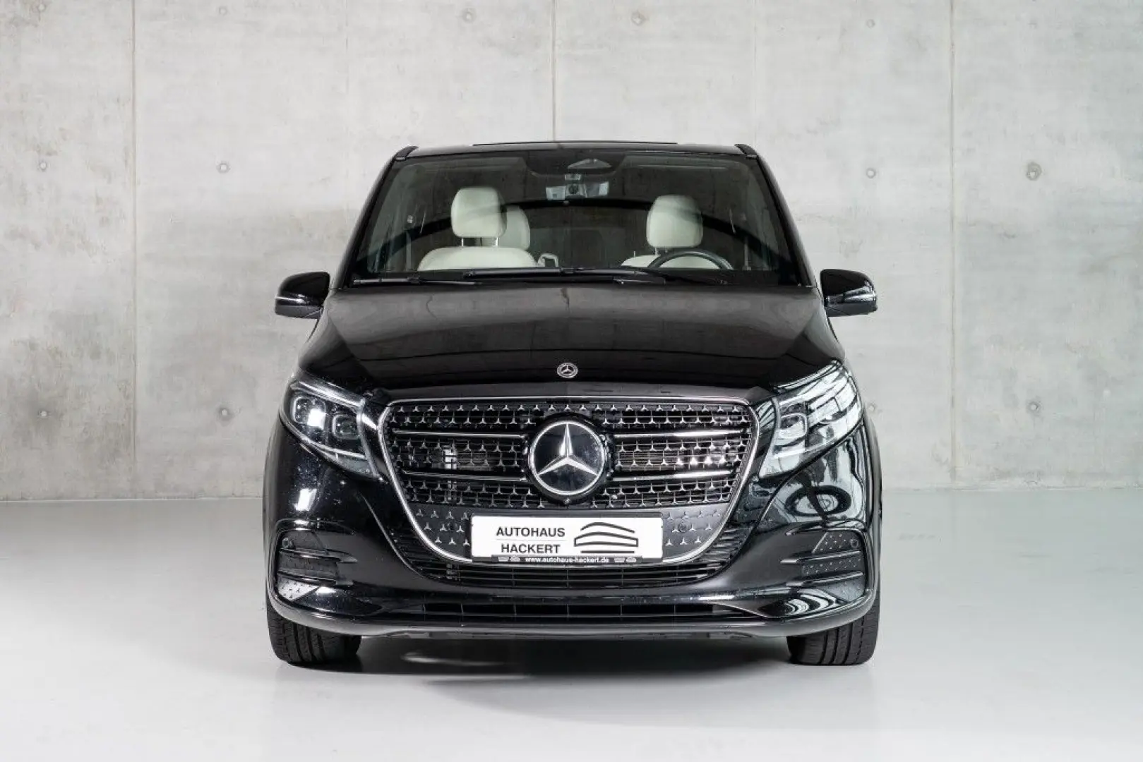 V 300d EXCLUSIVE/EXTRALANG