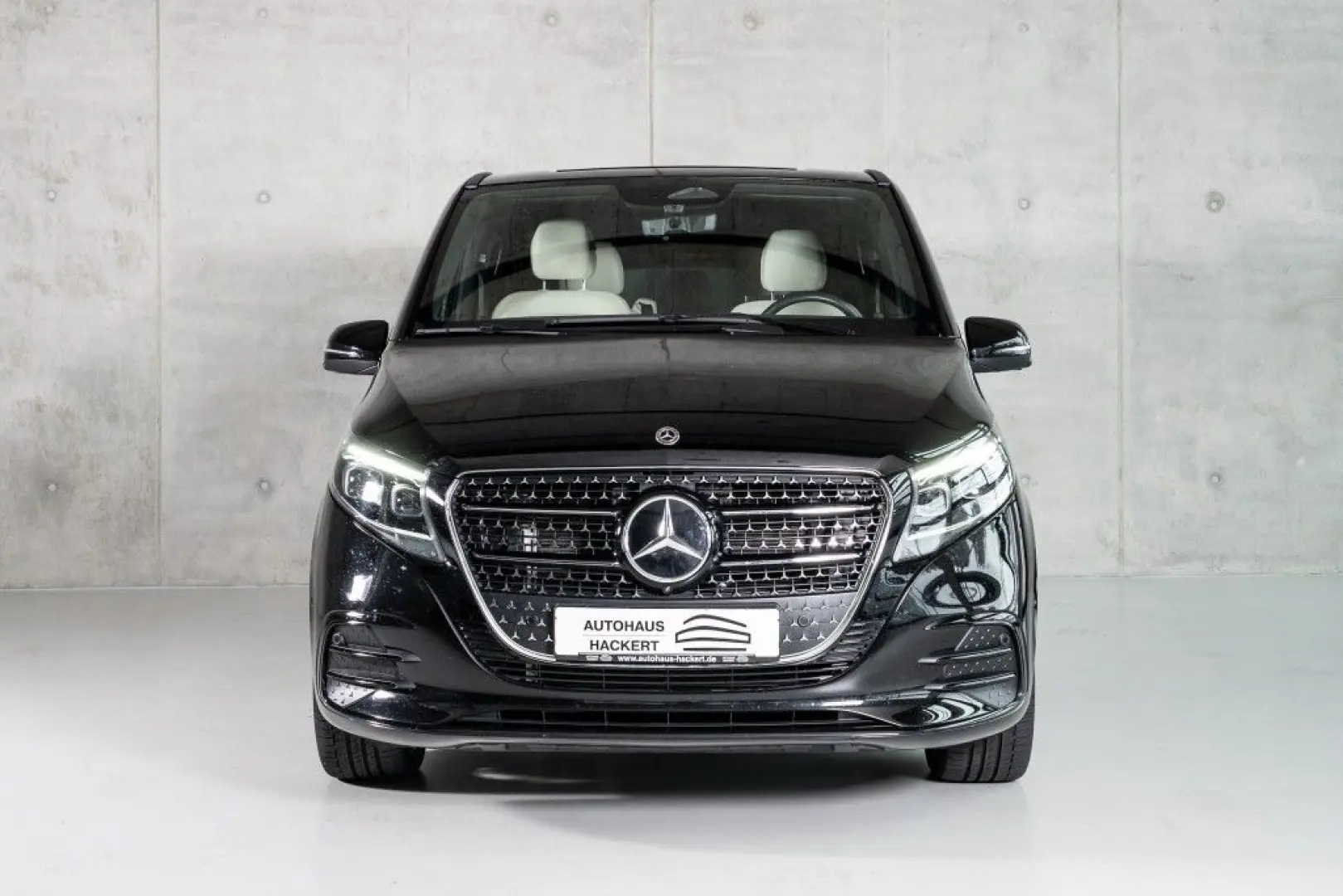 V 300d EXCLUSIVE/EXTRALANG