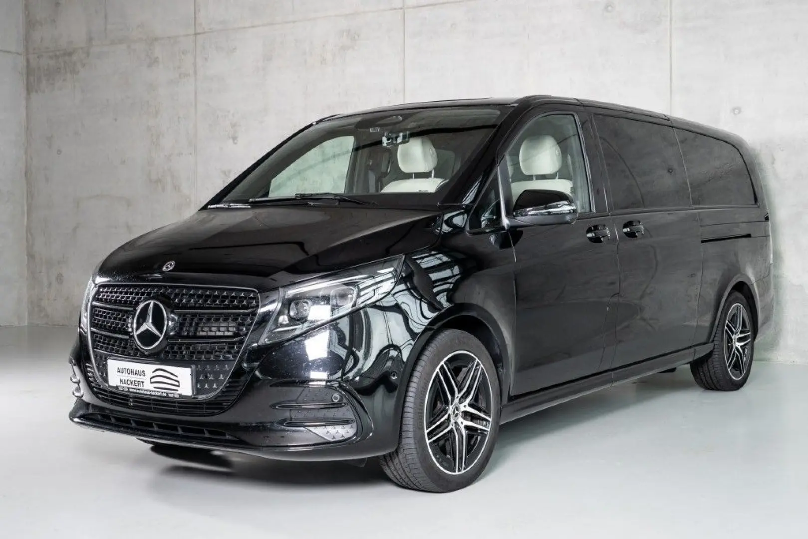V 300d EXCLUSIVE/EXTRALANG