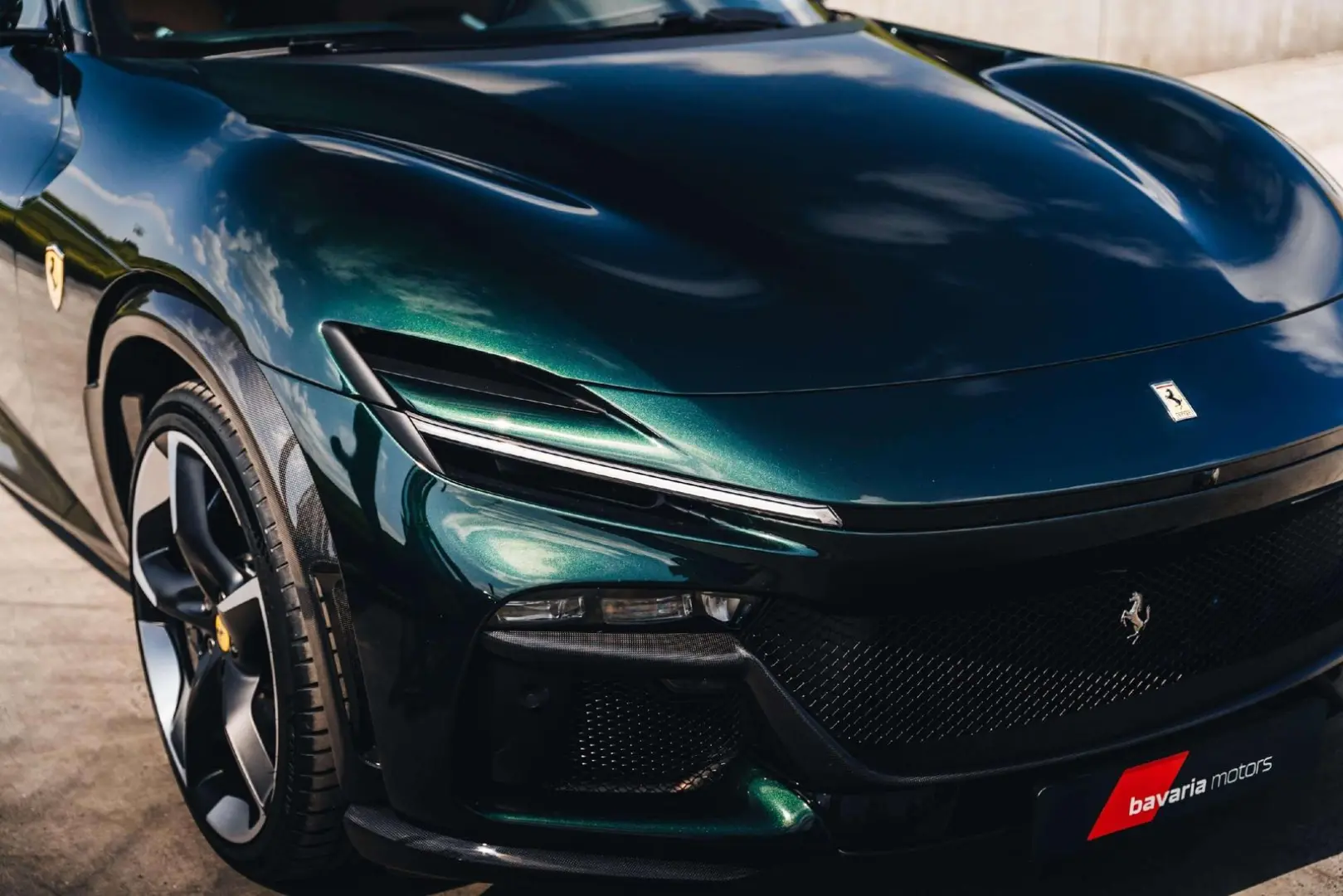 Purosangue Verde Zeltweg / Carbon / Design Spec.