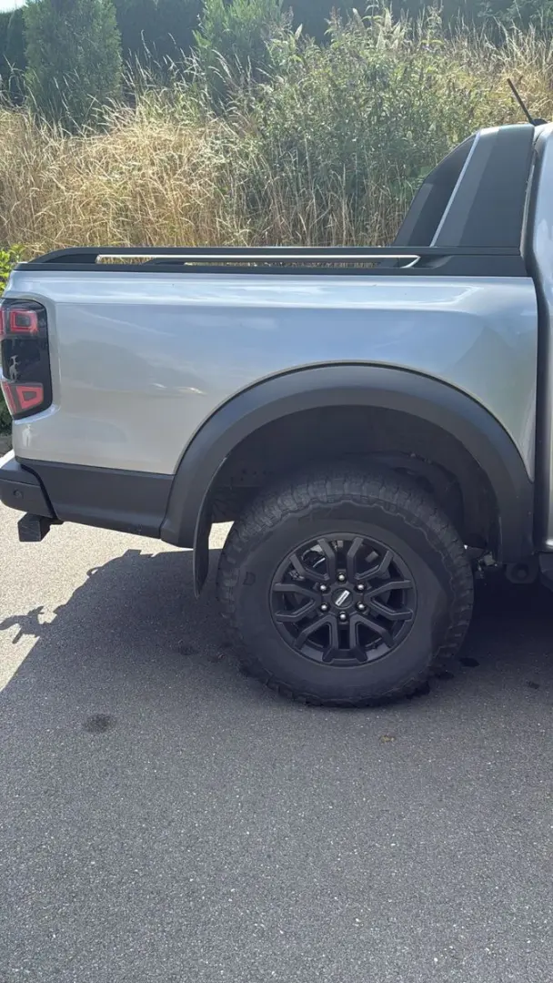 Raptor