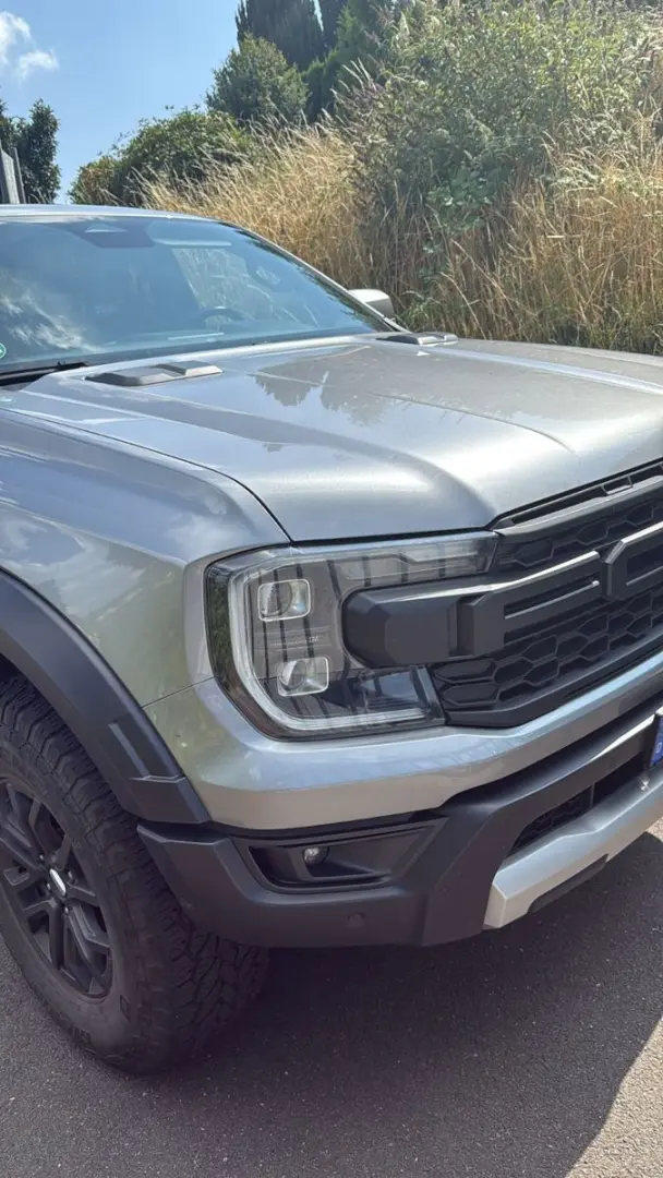 Raptor