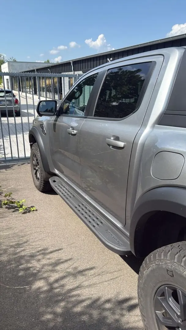 Raptor