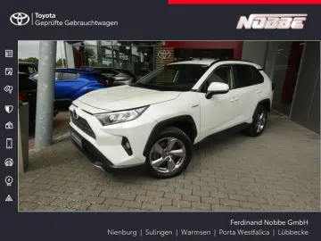 RAV 4 2.5 4x4 Hybrid Team D AHK Leder SHZ PDC