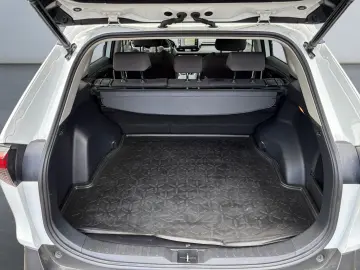 RAV 4 2.5 Hybrid Team D 4x4 *Navi*LED*el Heck*