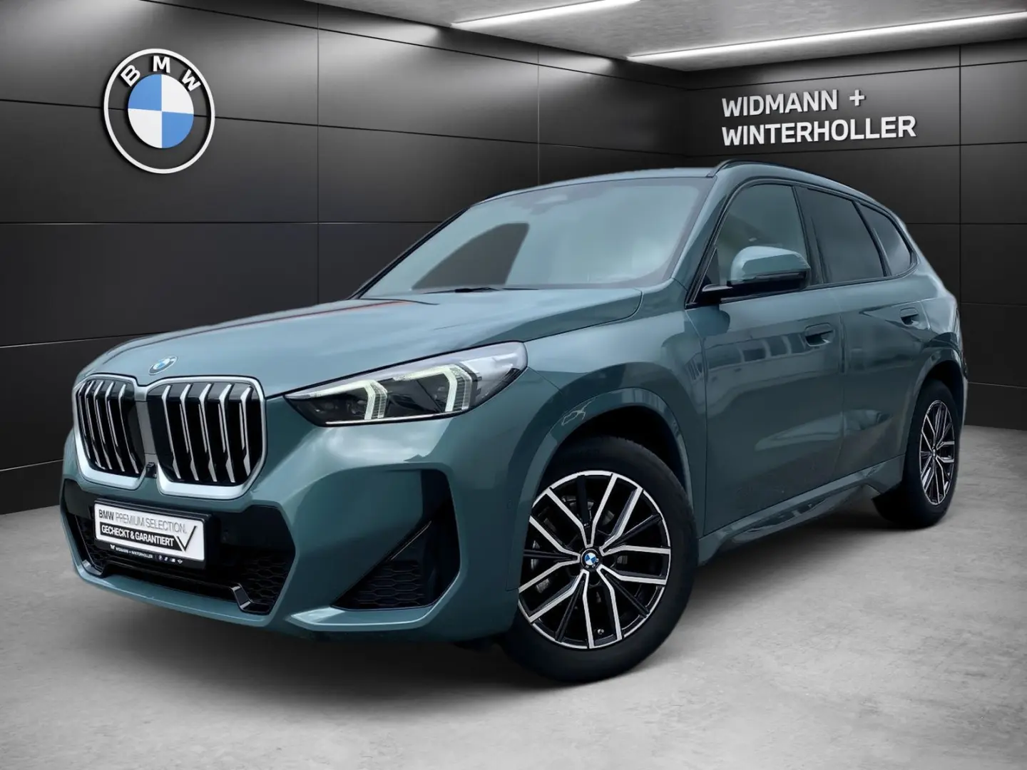 X1 xDrive20d M Sport DA PA+ HUD AHK Pano adLED
