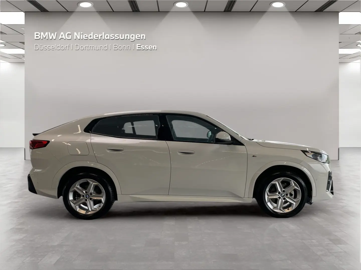 X2 xDrive20d M Sport AHK Driv.Assist+ Harman/K
