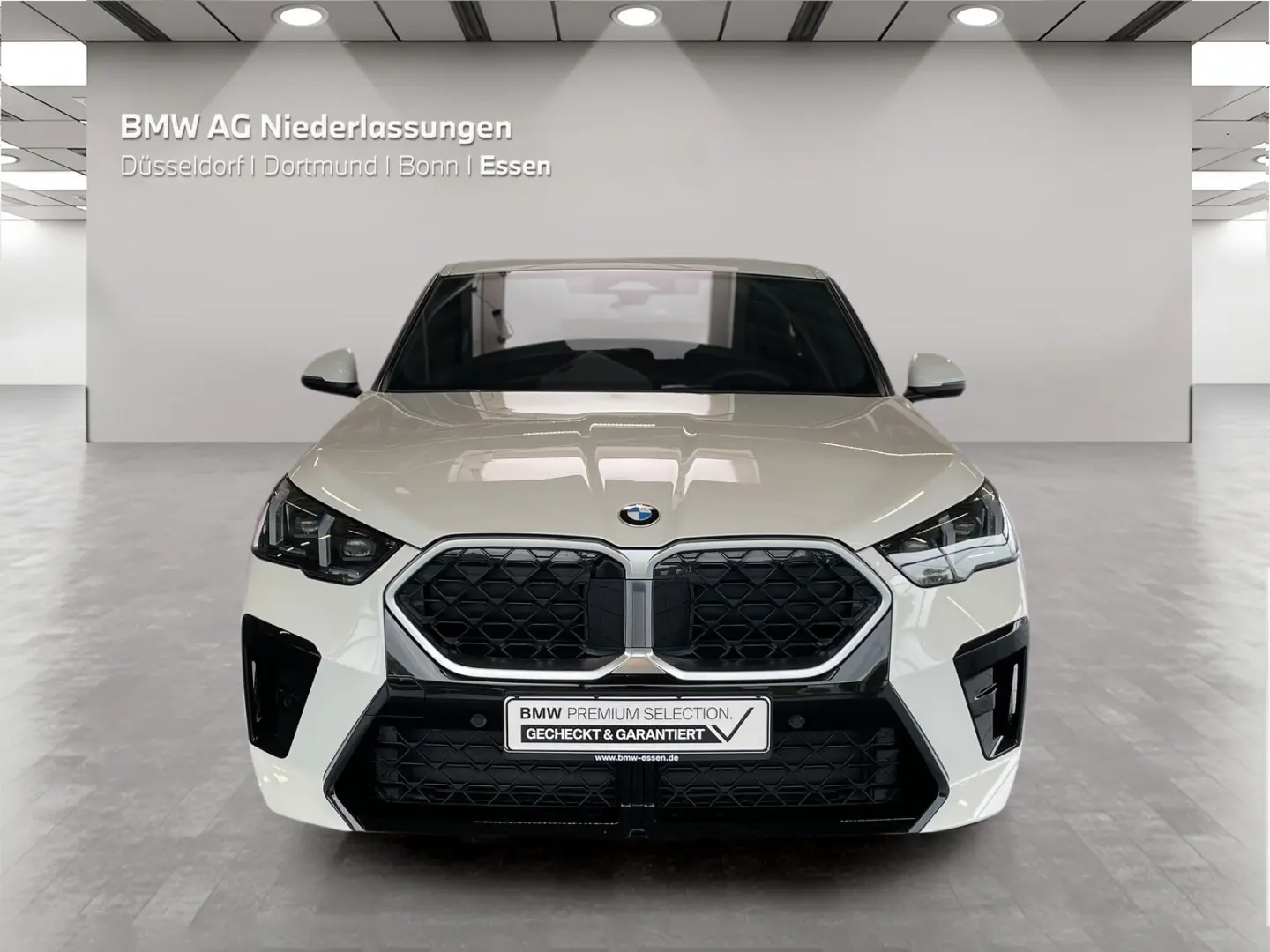 X2 xDrive20d M Sport AHK Driv.Assist+ Harman/K