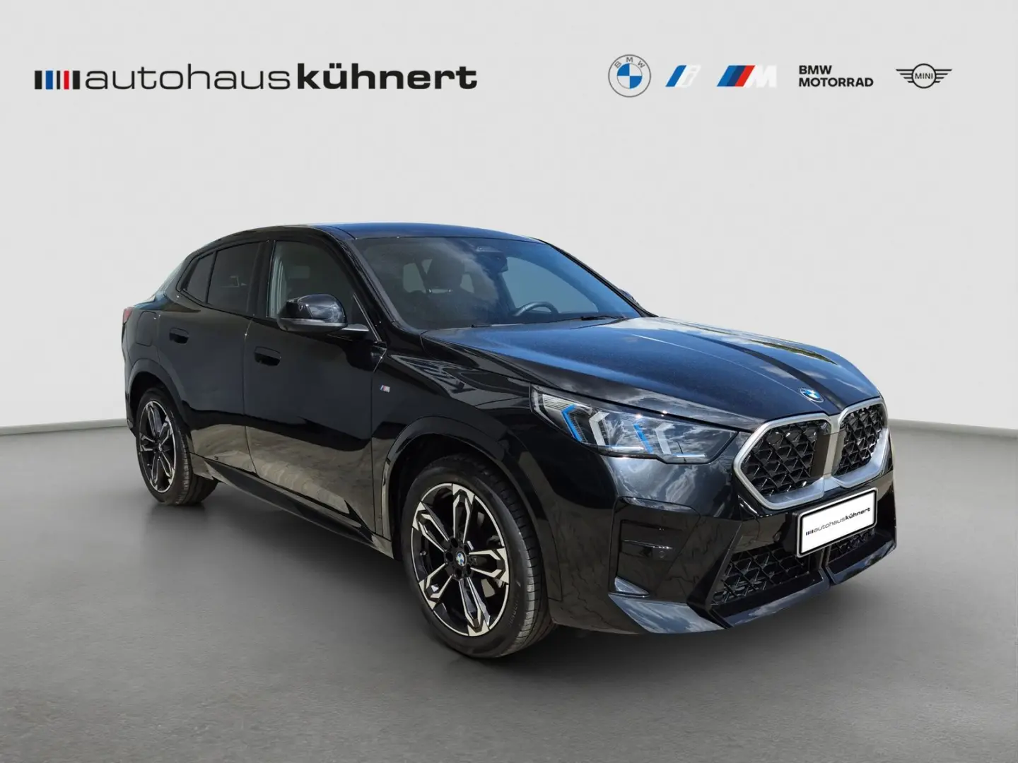 X2 xDrive20d ///M-Sport/ACC/360°/AHK/Hifi H&K