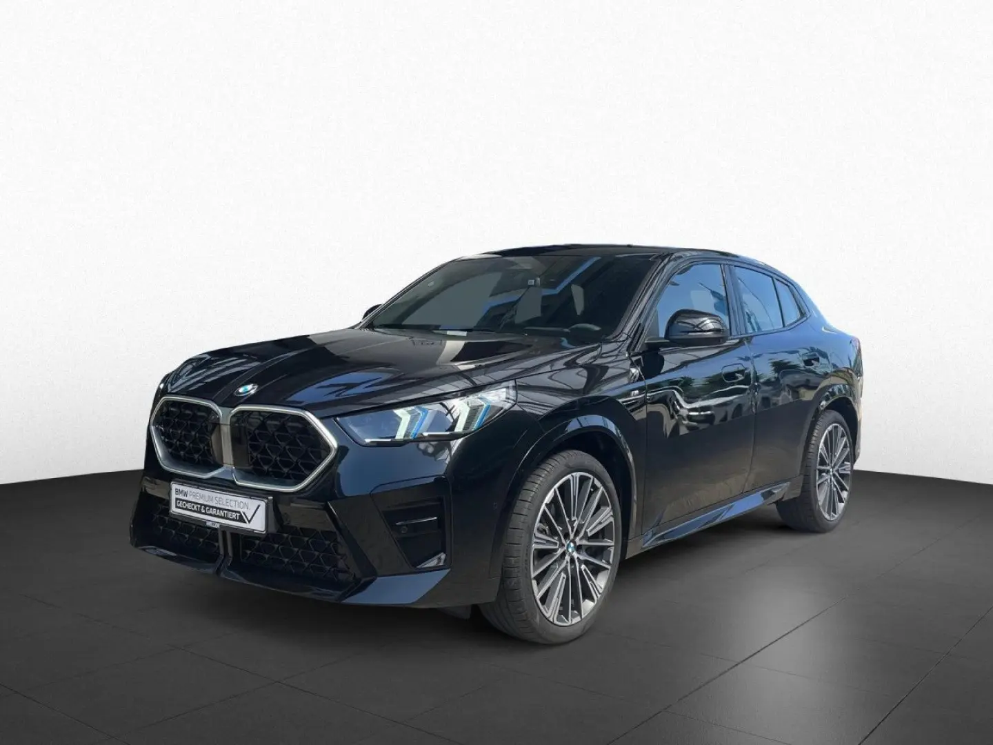 X2 xDrive20d M Sport LiCoPro AHK HUD PA+ ad. LED