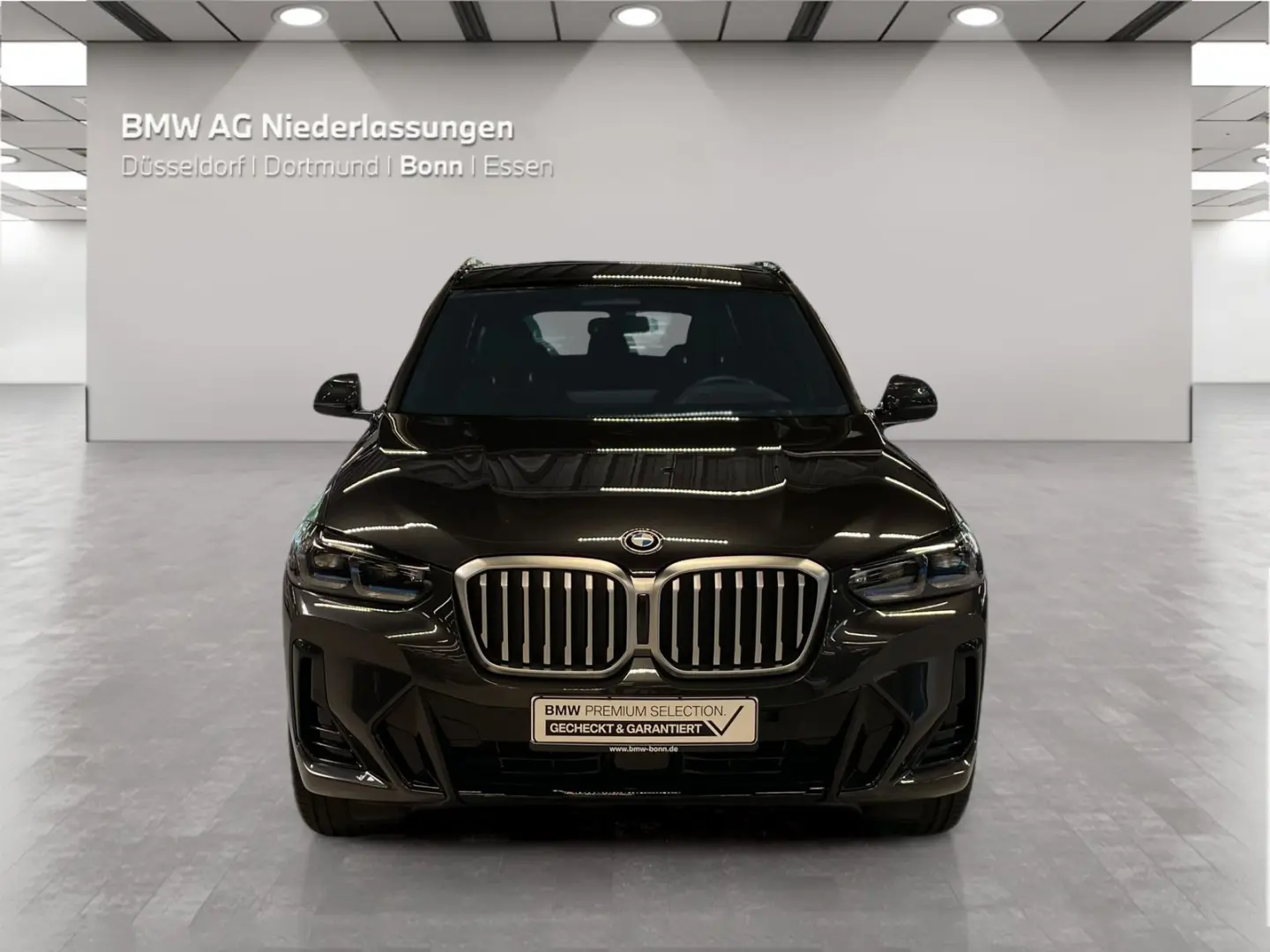 X3 xDrive20d M Sport AHK Driv.Assist.Prof Laser
