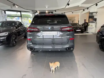 X5 xDrive30d M Sport M Sportpaket Head-Up HiFi