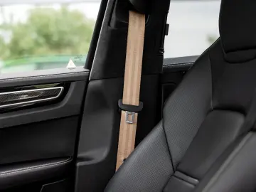 Cayenne 4.0 Turbo S E-Hybrid | PTS GOODWOODGREEN
