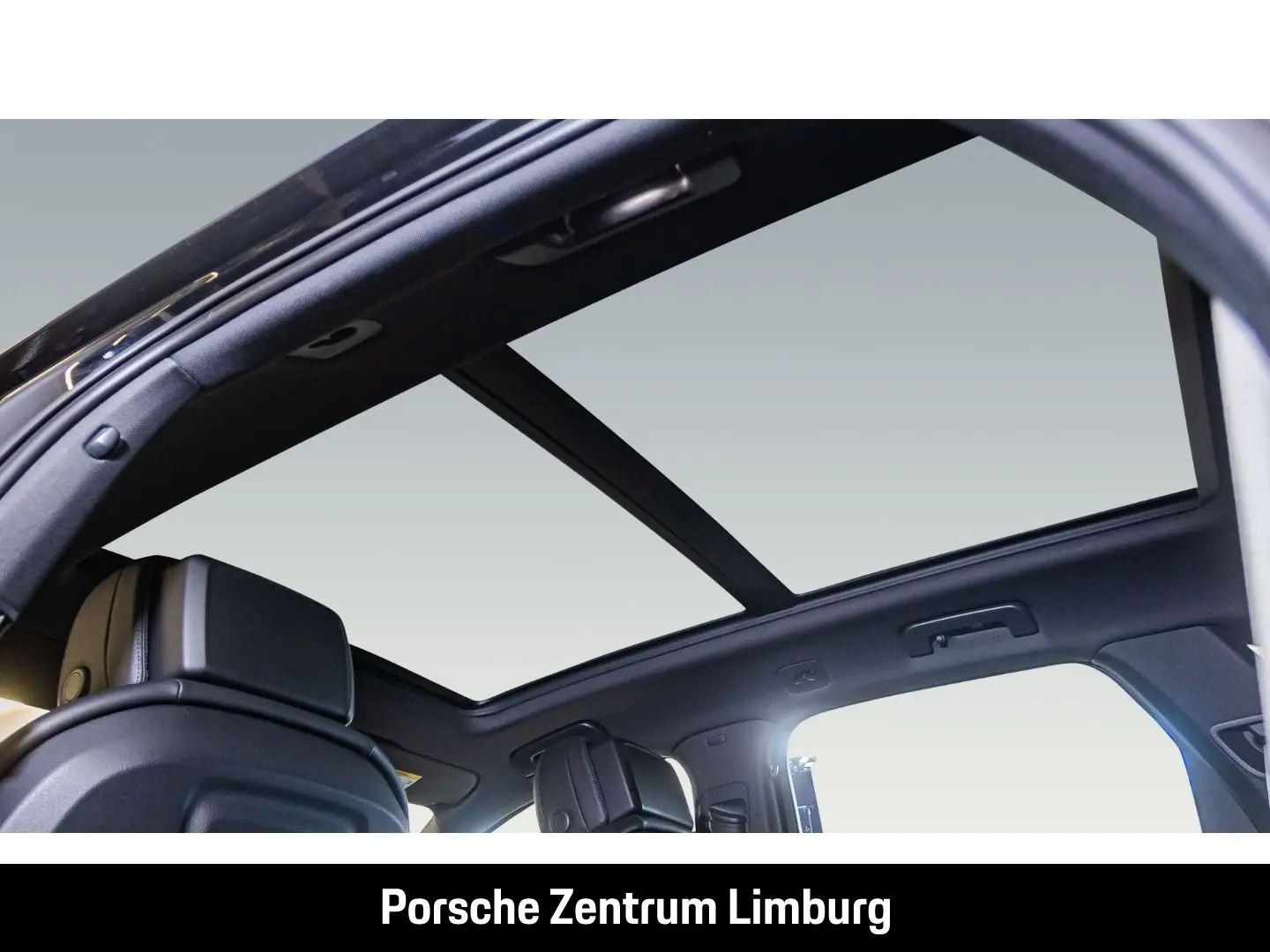 Cayenne S Platinum Edition Hinterachslenkung