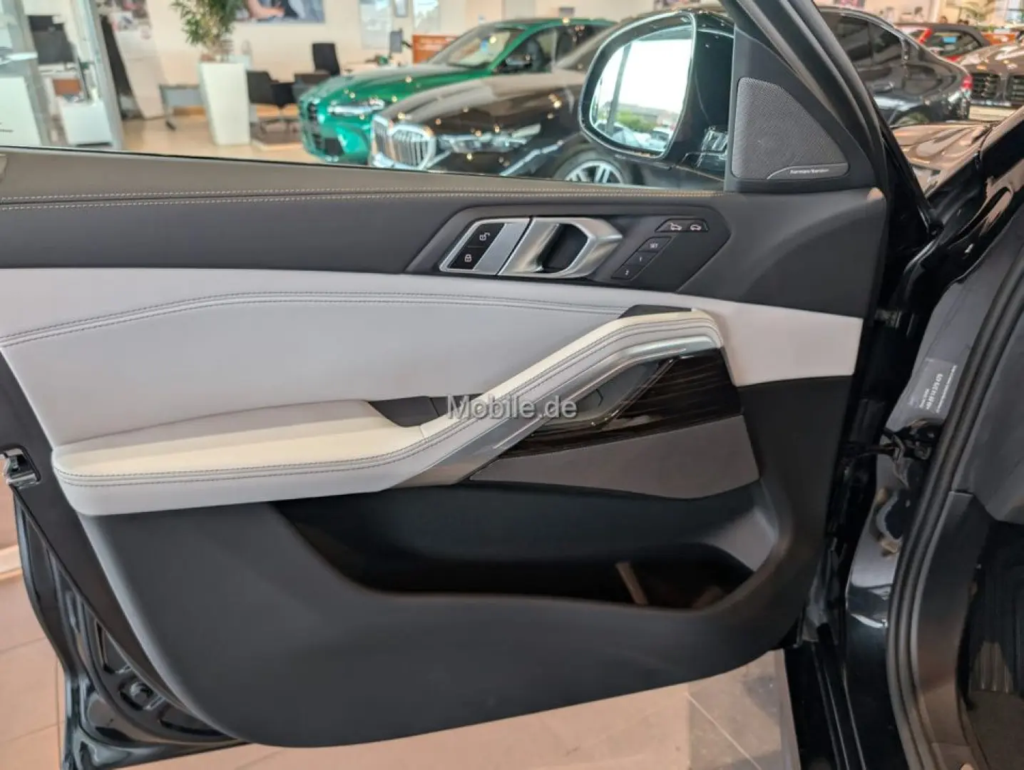 X6 xDrive40d M Sport Innovationsp. Panorama AHK