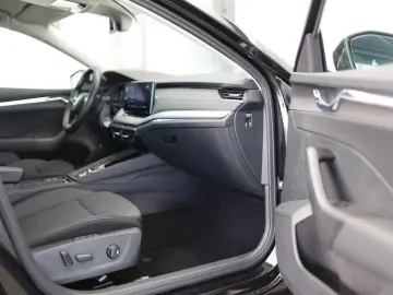 Octavia LIMOUSINE 2,0 TDI FIRST EDITION 18-ZOLL