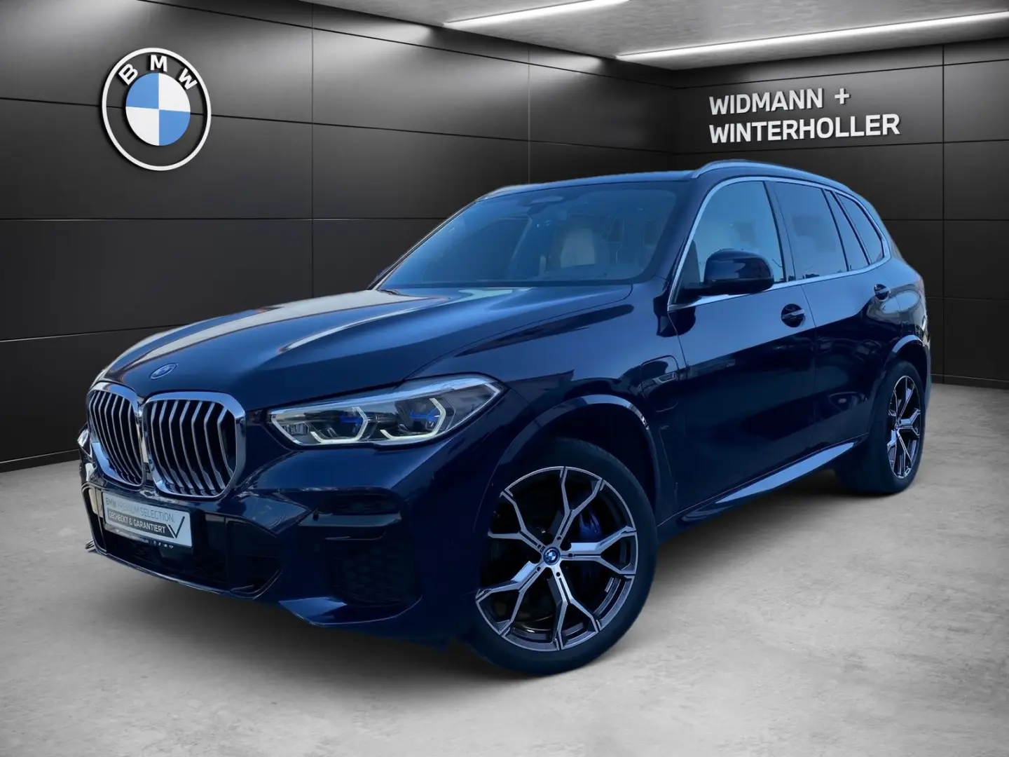 X5 xDrive45e M Sport AHK DA Prof PA+ HUD Sitzbel