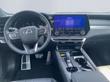 RX 500h F SPORT+ *Allrad*360Grad*Pano*M Levinson
