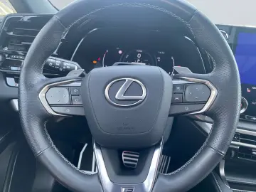 RX 500h F SPORT+ *Allrad*360Grad*Pano*M Levinson
