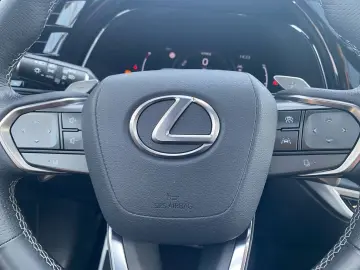 RX 500h F SPORT+ *Allrad*360Grad*Pano*M Levinson