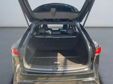 RX 500h F SPORT+ *Allrad*360Grad*Pano*M Levinson