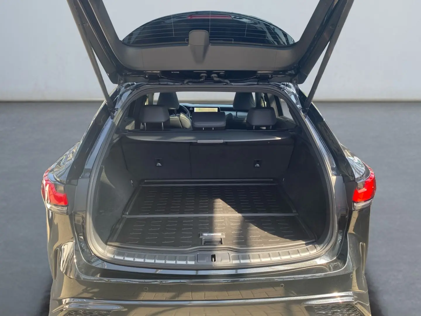 RX 500h F SPORT+ *Allrad*360Grad*Pano*M Levinson