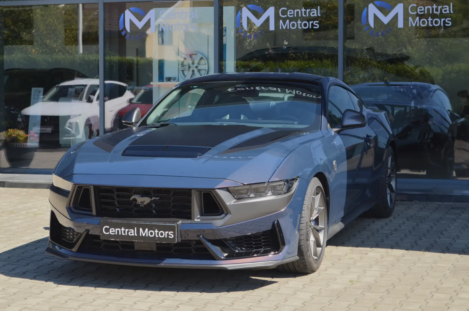 Ford Mustang S650 Fastback Dark Horse