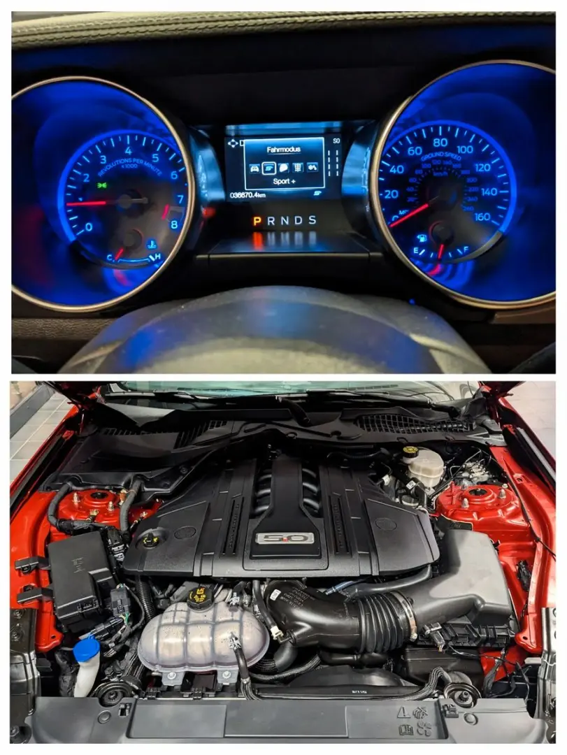 Mustang GT 500 Shelby Look Tüv Neu 1.Hand