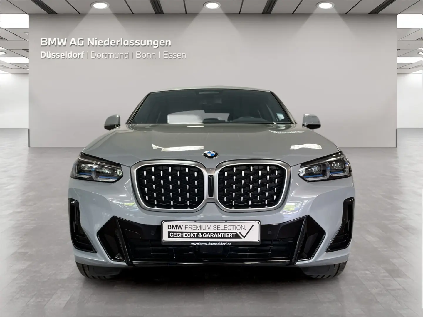 BMW X4 xDrive20d M Sport Driv.Assist.Prof Laser LEASING