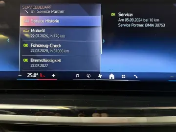X5 30 d xDr. M Sport/PANO/HARM.KARDON/ICONIC