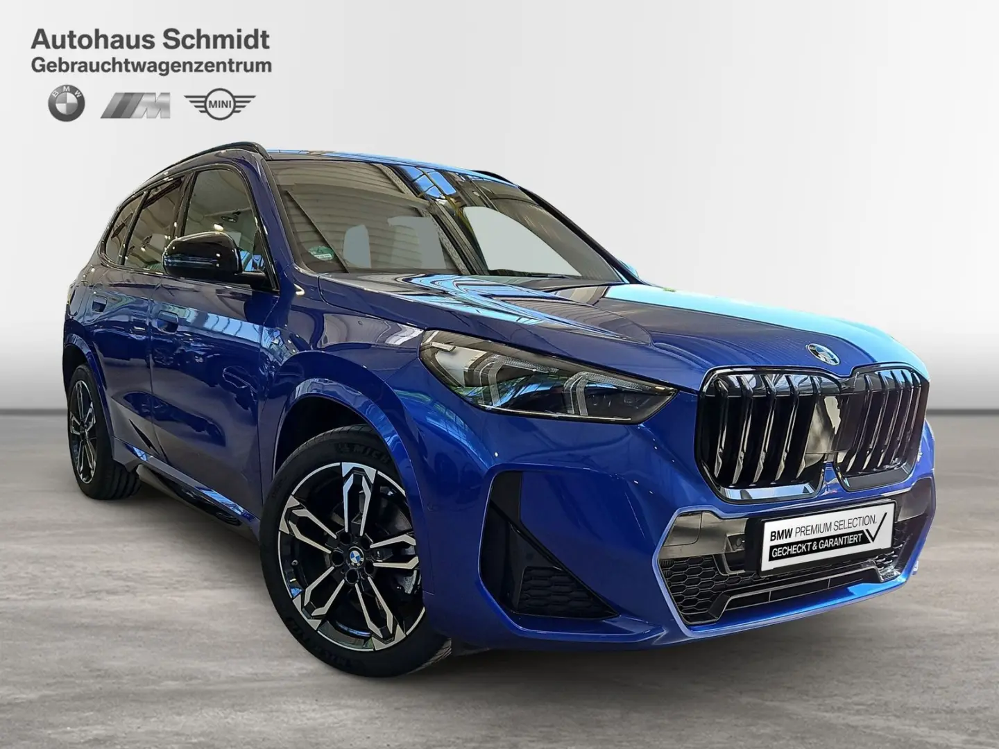 X1 xDrive23i M Sportpaket*H&K HiFi*DAB*Adapt.LED