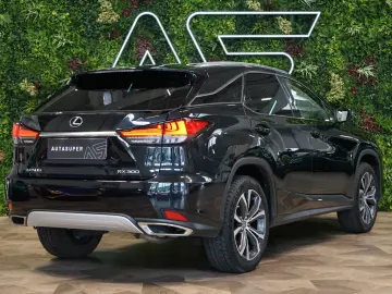 RX 300 4X4*CVT*BUSINESS*DRCC*30.496€ NETTO