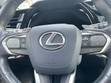 RX 350 h Executive Line *LED*AHK*360°*HUD*Leder*