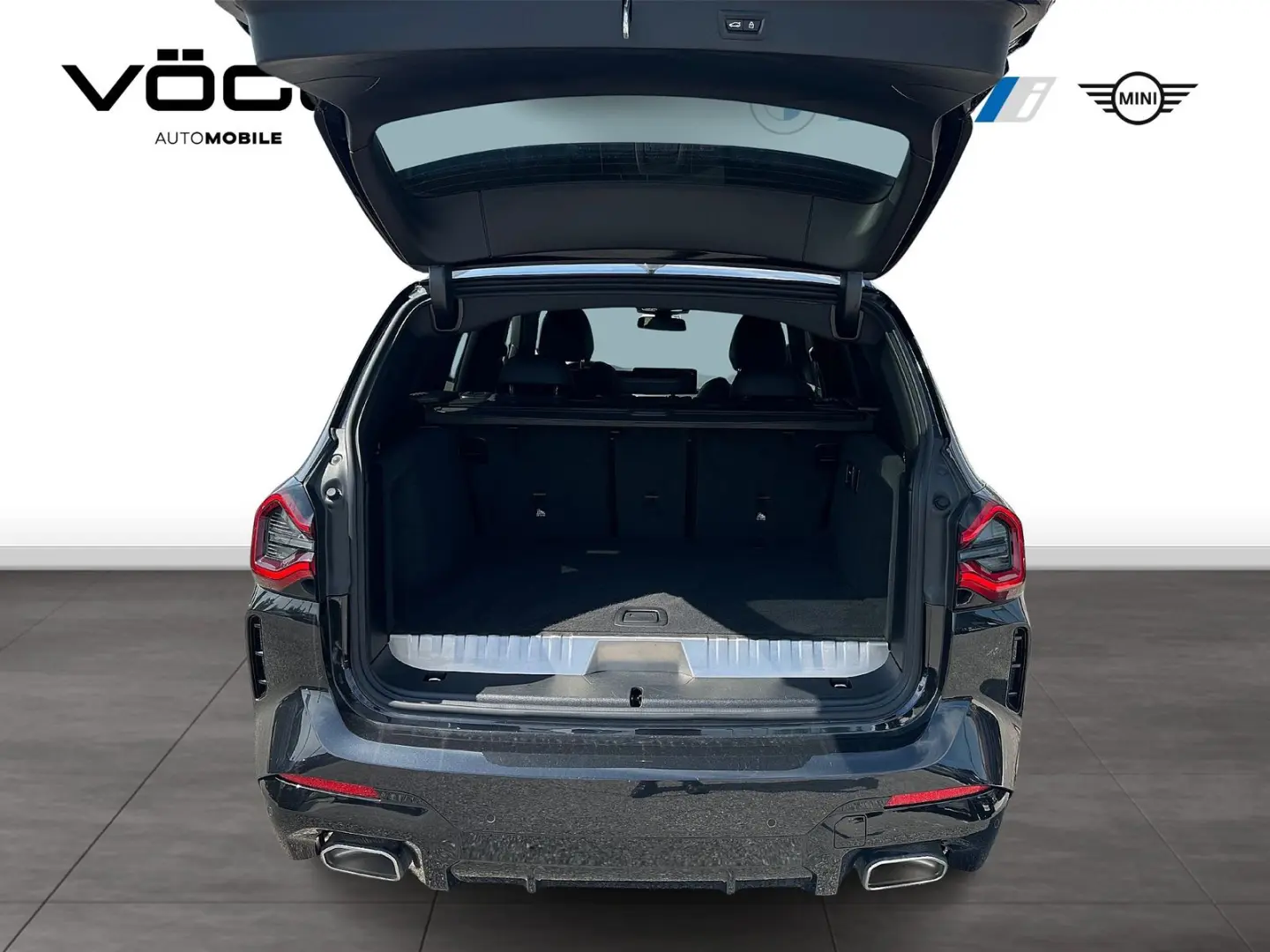 X3 xDrive30e M Sportpaket Innovationspaket Head 