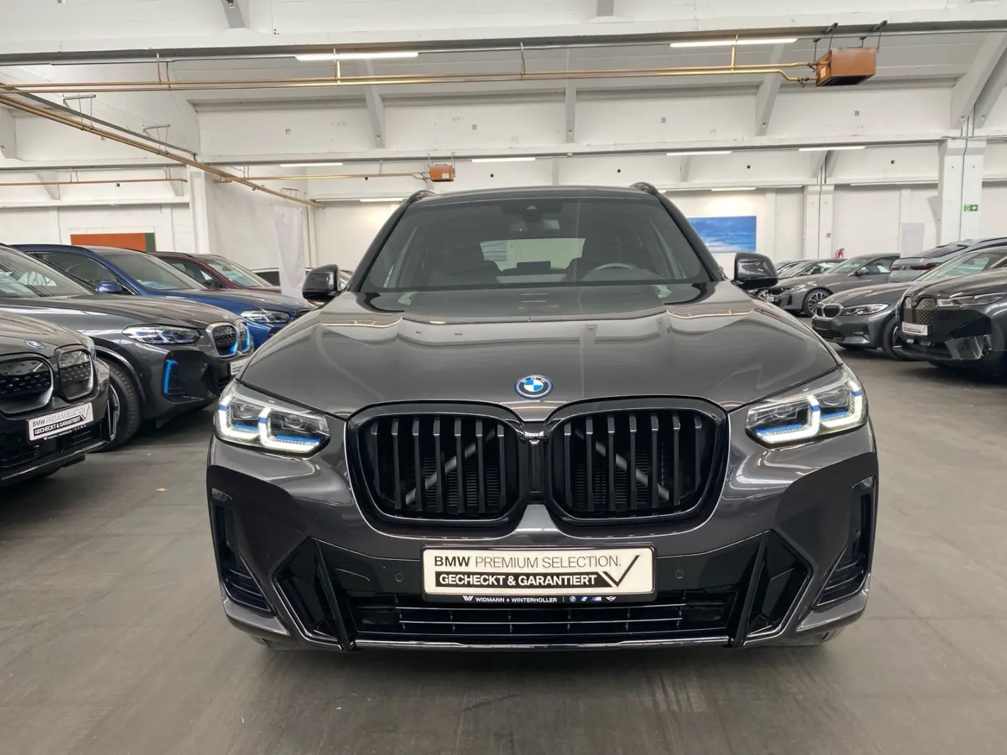 X3 xDrive30e M Sport HUD Laser LC Prof. AHK PA