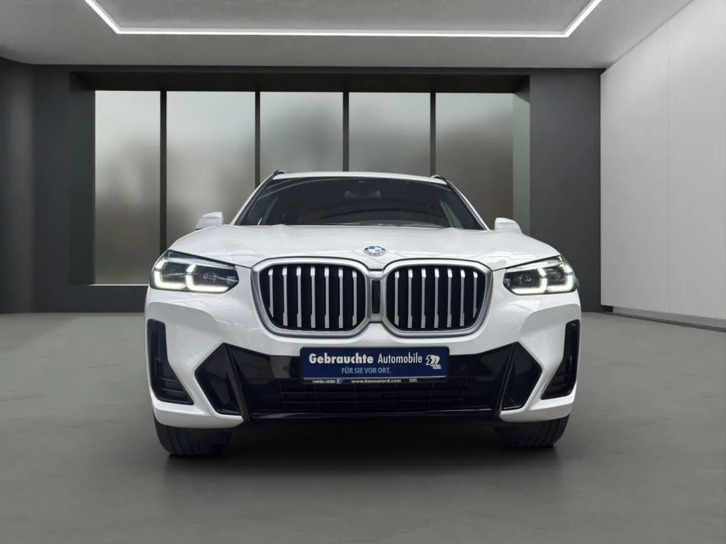 X3 xDrive30d M-SPORT LASER NAVI KAMERA 19