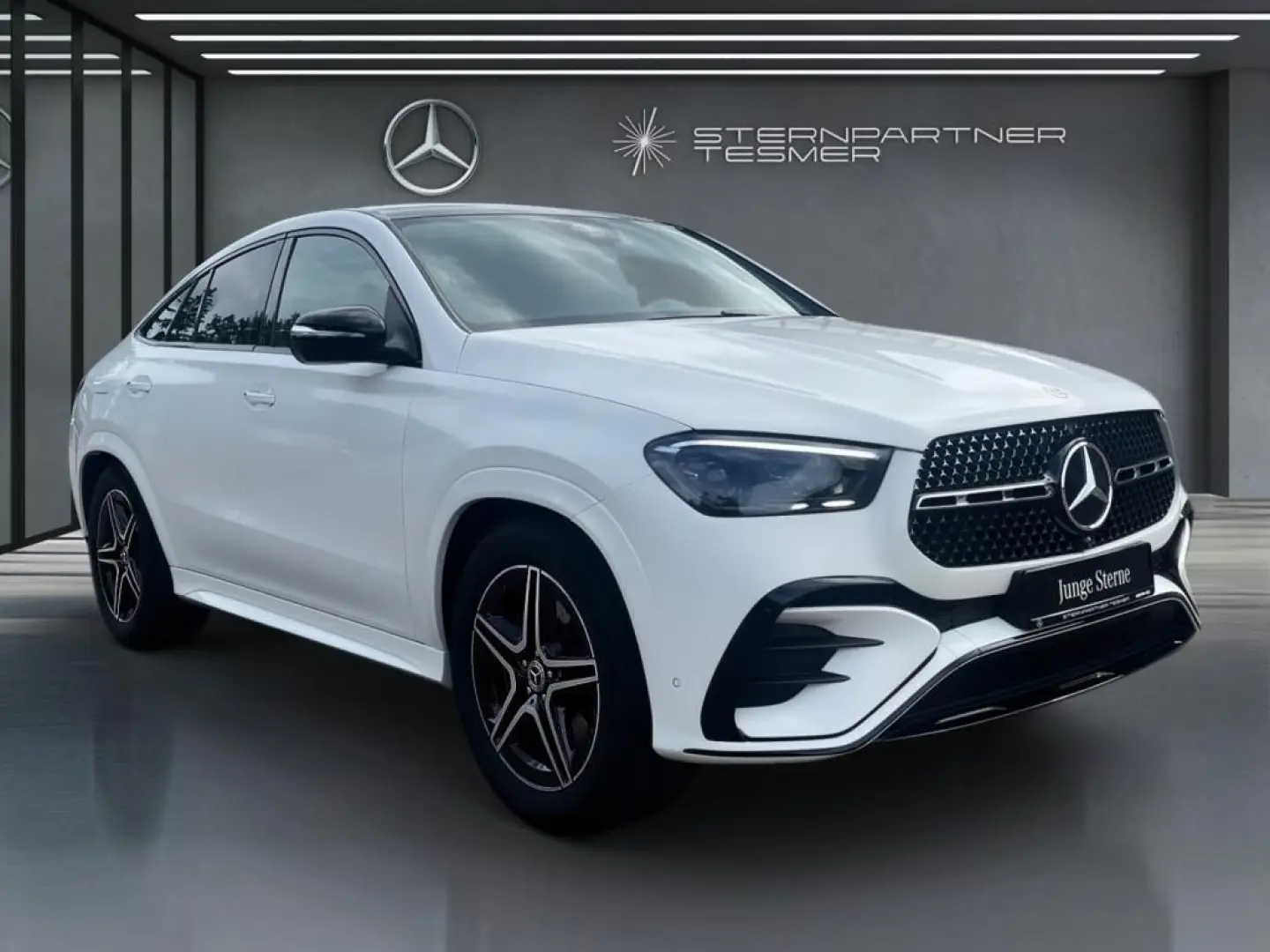 GLE 300 d 4M AMG+NIGHT+MBEAM+BURMESTER+360°+AIRM