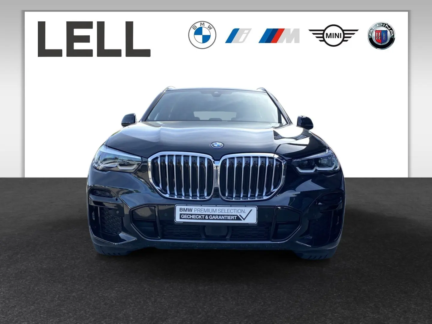 X5 xDrive45e M Sportpaket Alarm 22LM DAB Memory