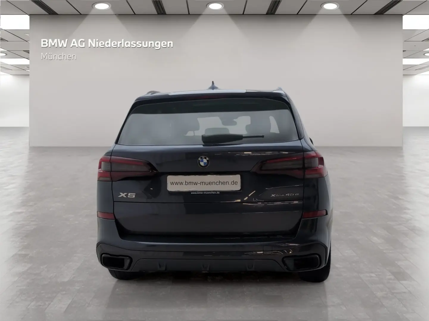 X5 xDrive45e M Sport Driv.Assist.Prof Head-Up