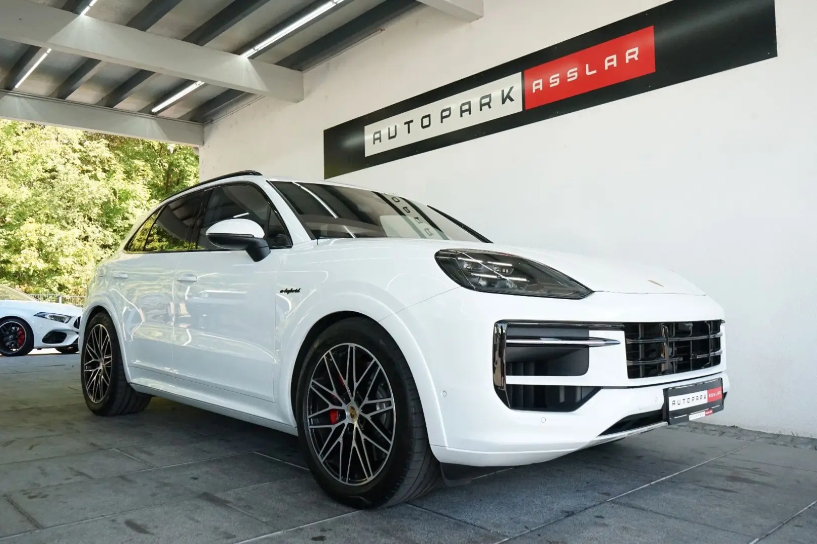 Cayenne S E-Hybrid/SportDesign/HD/PDCC/Mega-Spec