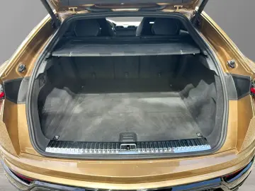 Urus