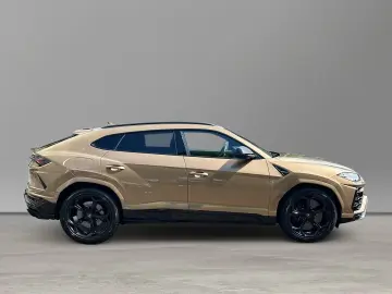 Urus