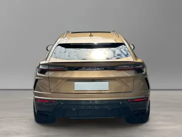 Urus